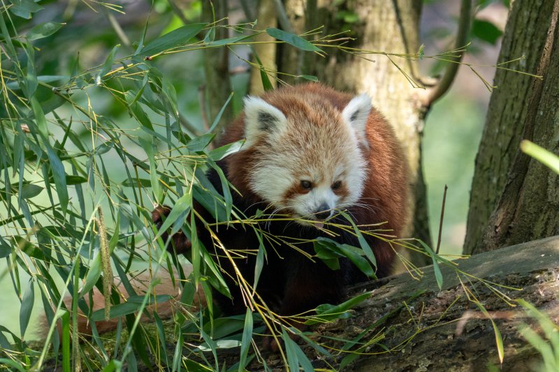 Fotografie Highlight
